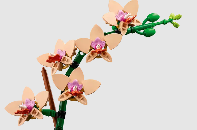 LEGO® Botanicals